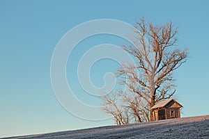 Rural winter landscape