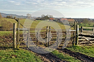 Rural winter landscape