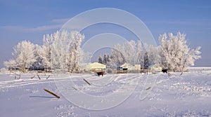 Rural winter landscape