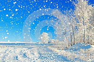 Rural winter landscape a with the blue sky, a field and the fore