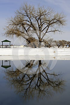 A Rural Winter Landscape in Colorado