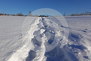 Rural winter landscape with a field snow and the blue sky