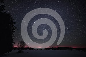 Rural Winter Landscape at night with trees and stars