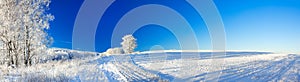 Rural winter landscape a panorama with the blue sky, a field and