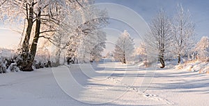 Rural Winter Landscape In Pastel Colors With Frozen River,Surrounded By Snowy Trees And Small Wood House On The River Bank. Belaru