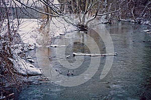 Rural winter landscape, river blue waters and snow