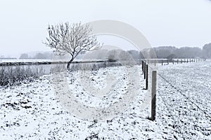 Rural winter landscape with snow