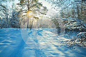 Rural winter landscape with sunset, the forest and the road