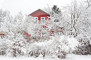 Rural winter landscape with wooden house and trees in snow