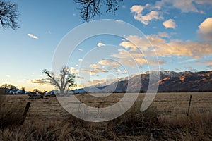 Rural winter morning scene Eastern Sierra Nevada mountains Owens Valley, Bishop, California, USA