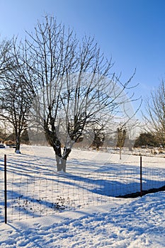 Rural winter`s scene