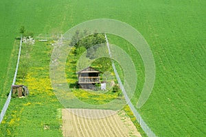 Rural wooden house on green field