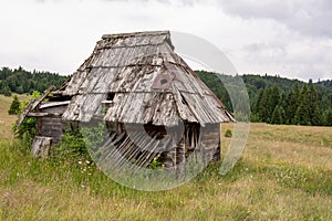 Rural Wooden Hut Old Abandoned and Pine Trees Forest Landscape