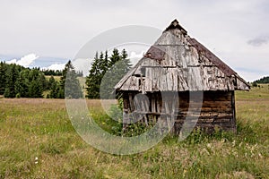 Rural Wooden Hut Old Abandoned and Pine Trees Forest Landscape