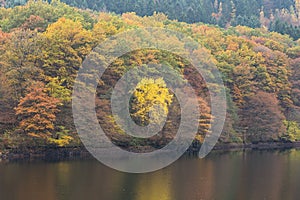 Rursee during fall in National Park Eifel, Germany.