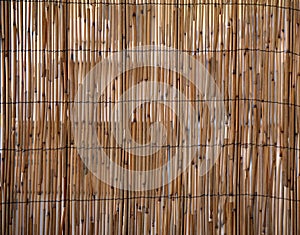 Rush bamboo pattern