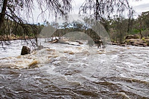 Rushing Bell Rapids