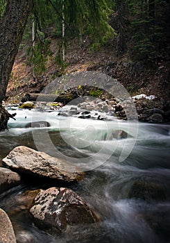 Rushing Creek photo