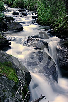 Rushing Creek