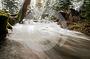 A rushing flow of water down a slope in the forest