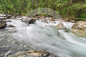 Rushing mountain river