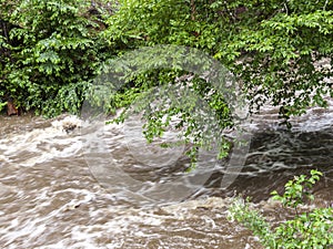 Rushing Rapid Water from Flash Flood in Stream