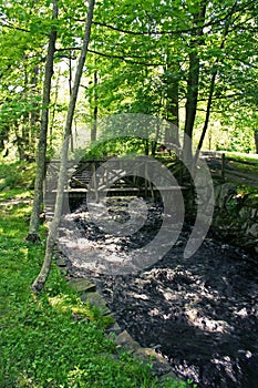 Rushing River Foot Bridge