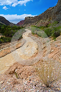 Rushing River in Zion