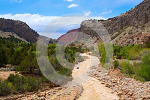 Rushing River in Zion