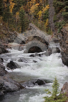 RUSHING ROCKY RIVER IN FALL