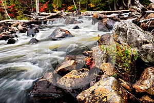 Rushing Stream in the Autumn