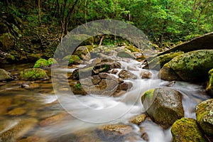 Rushing Stream in Mossman Gorge