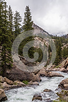Rushing stream river water through Eleven Mile Canyon Colorado