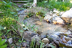 Zurčiaci prúd vody v lese v Tatrách, Slovensko