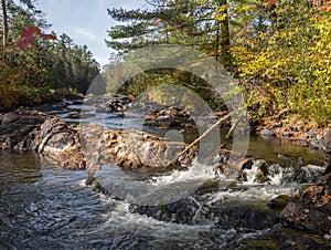 Rushing water cascading through a forest in autumn