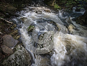 Rushing Water in a Catskill Mountain Creek