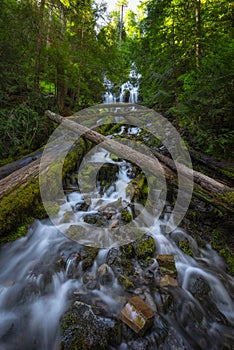 Upper Proxy Falls in Willamette Forest, Oregon