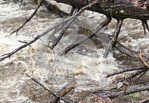 Rushing Water from Flash Flood in Stream