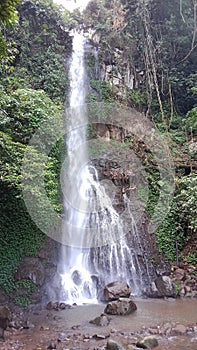 The rushing water makes a beautiful view of the stream