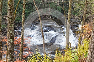 Rushing water in mountain stream wilderness, fall winter rural landscape