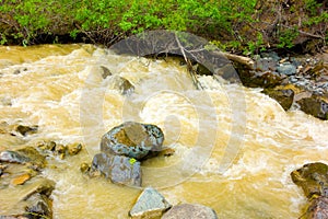 Rushing water muddied by placer mining in northern canada