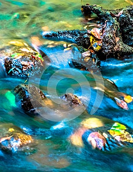 Rushing water over fall leaves photo