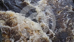 Rushing water in the river, top view. Water rushes in the stream. A yellow-white foam. Karelia, Lososinka River in