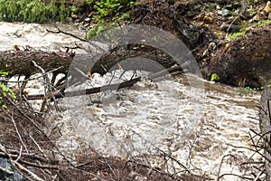 Rushing Water from Severe Flash Flood in Stream