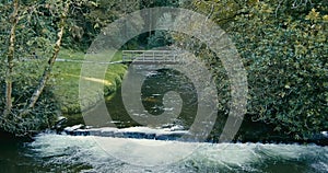 Rushing water in a stream, bordered by a serene green landscape. Kilbrittain Woods. zoom out