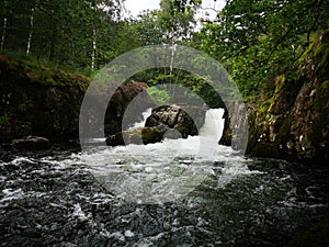 Rushing waterfall with lots of greenery