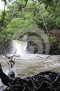 A rushing waterfall in a rainforest, Twin Falls in Haiku, Maui on the road to Hana