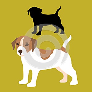 Russell dog puppy flat style vector illustration profile