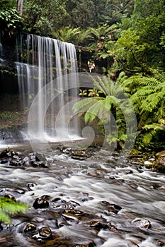 Russell Falls