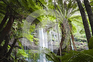 Russell Falls, Mount Field National park, Tasmania, Australia